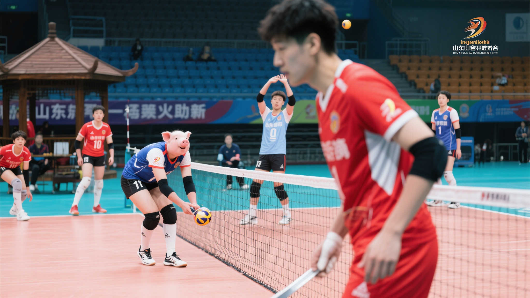 山东队热身小负加州天才,仅陈培东代表上赛季主力登场 山东队热身小负加州天才,仅陈培东代表上赛季主力登场